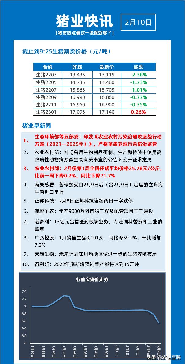 母猪价格最新动态与内心平静的旅行探险