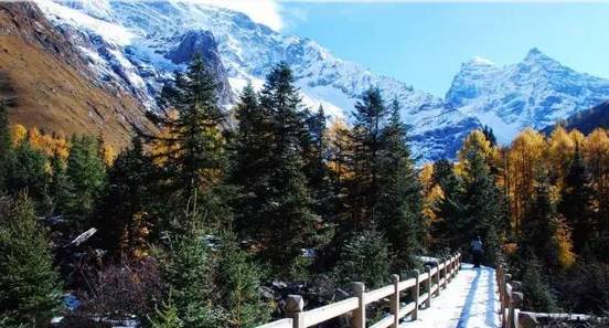 四姑娘山景区最新动态与探索之旅