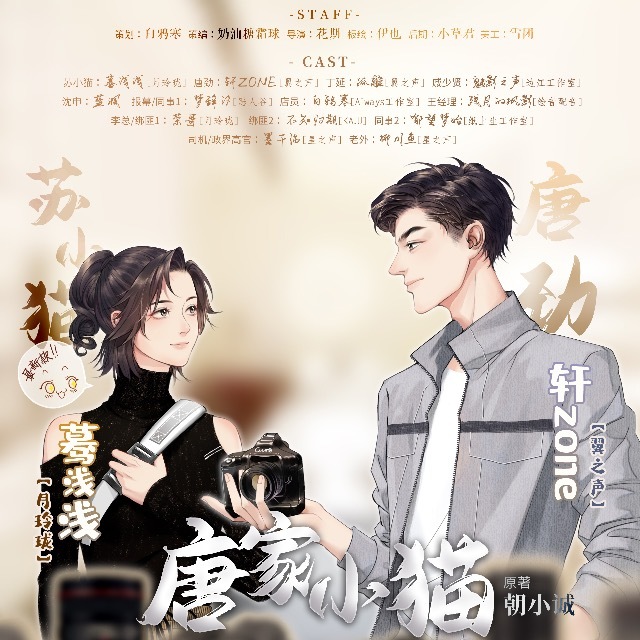 唐家小猫最新版，温馨日常趣事