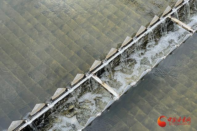 最新卷养鱼，顺应变化汲取力量，开启励志人生新篇章