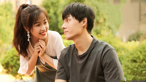 市政设施管理 第232页