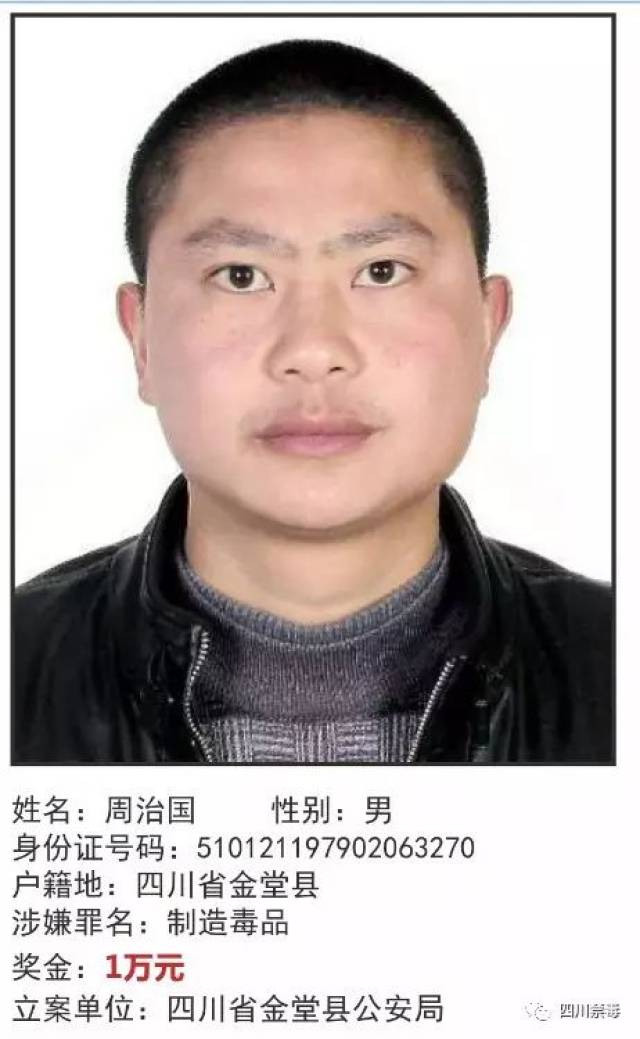 四川小巷美食宝藏揭秘，最新在逃人员名单背后的味蕾之旅