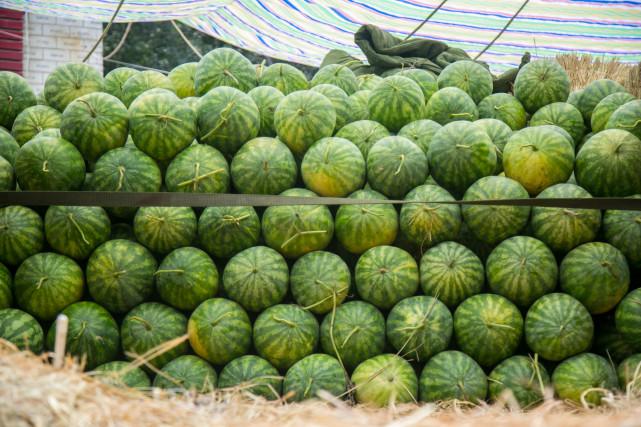 澳门三期内必开一肖,现象分析定义_实验版89.605