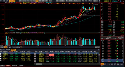 桐昆股份股票行情深度分析与观点阐述