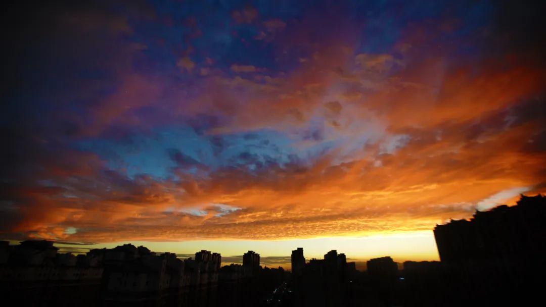 包头治愈资讯全面更新，健康福音与你同在 🌿🌼