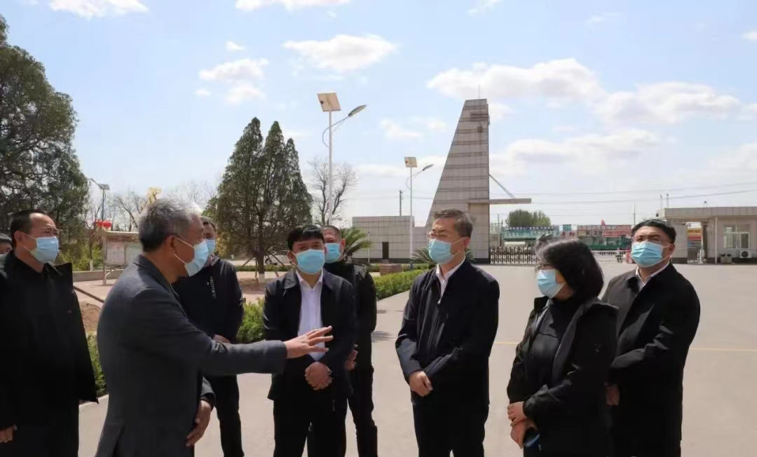 凌海市市委书记，与自然共舞，探寻内心宁静之地