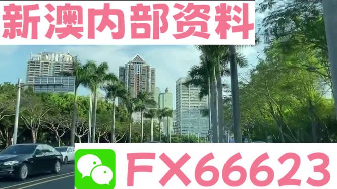 新澳免费资料精准大全,专业地调查详解_硬核版47.456