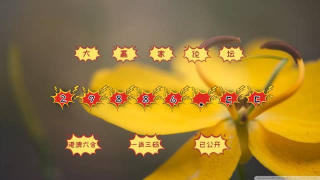 澳门4949开奖结果最快,数据导向程序解析_跨界版66.258