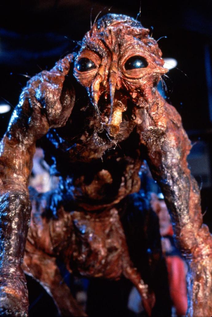 市政设施管理 第177页