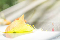 智能时代下的佩恩动态与金融变革最新进展