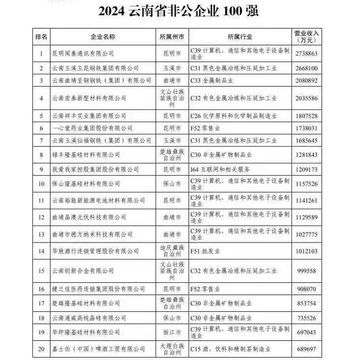 ＂2024年正版资料全年免费＂的：社会责任实施_随身版3.32