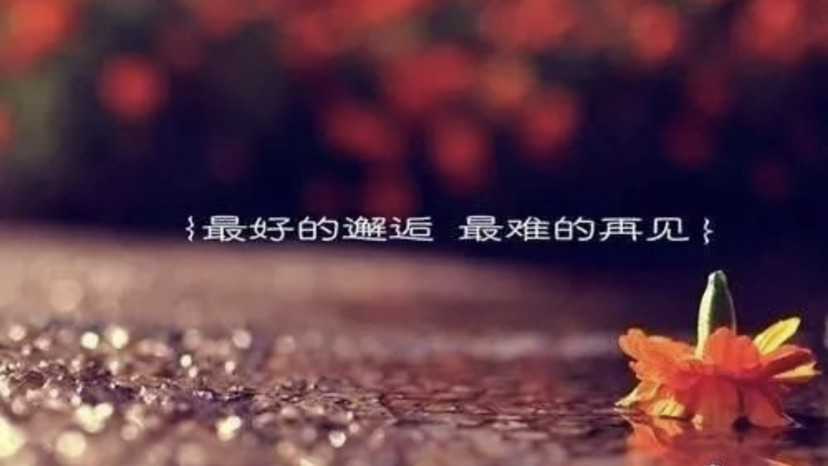 精选酷酷滕我爱你语录💖