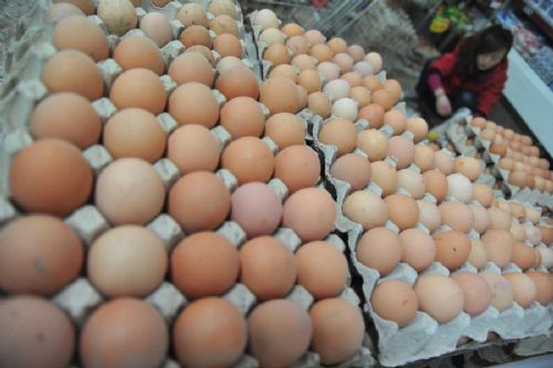 全国鸡蛋行情回顾与展望