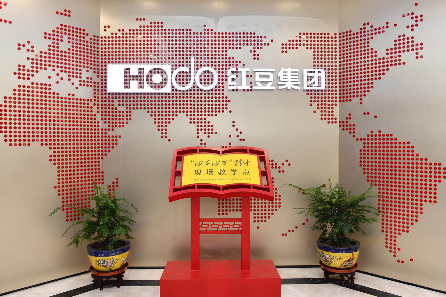 红豆上市公司，卓越发展之路，见证成功探索的辉煌历程