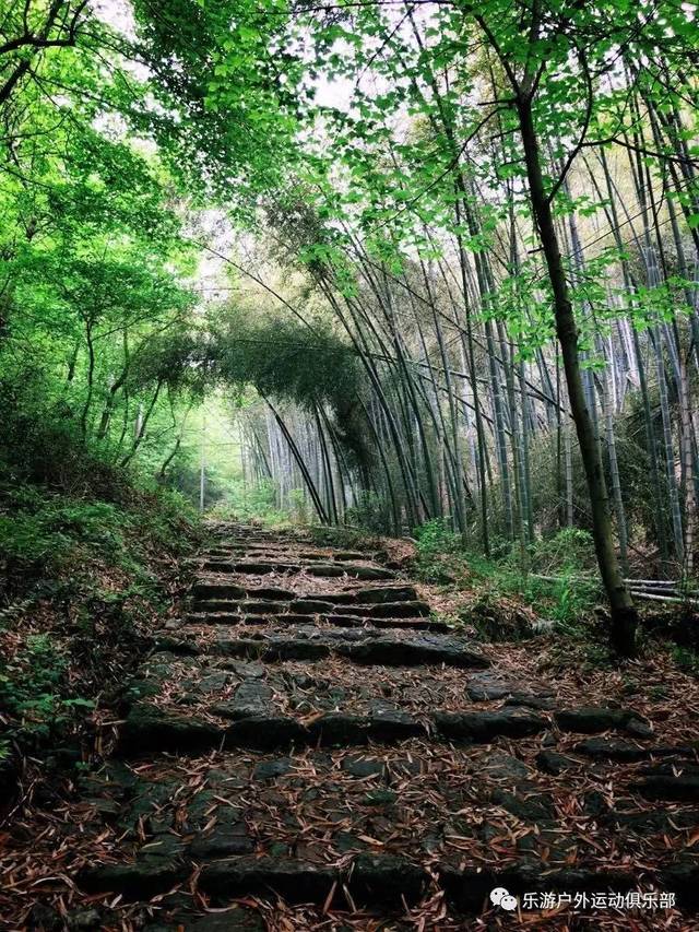 古道惊风最新篇章揭秘，科技重塑生活，未来尽在眼前