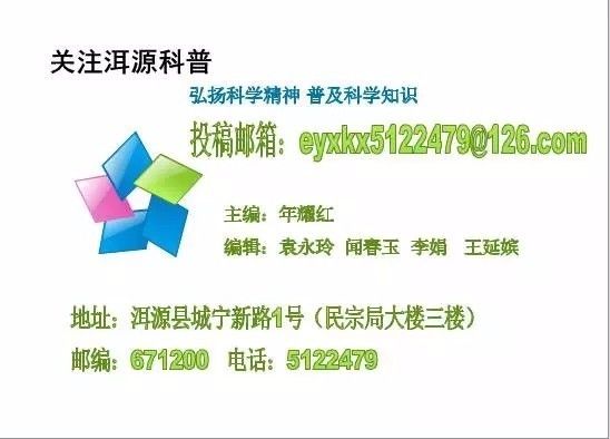 ＂2024年澳门特马今晚＂的：科学分析严谨解释_竞技版6.3