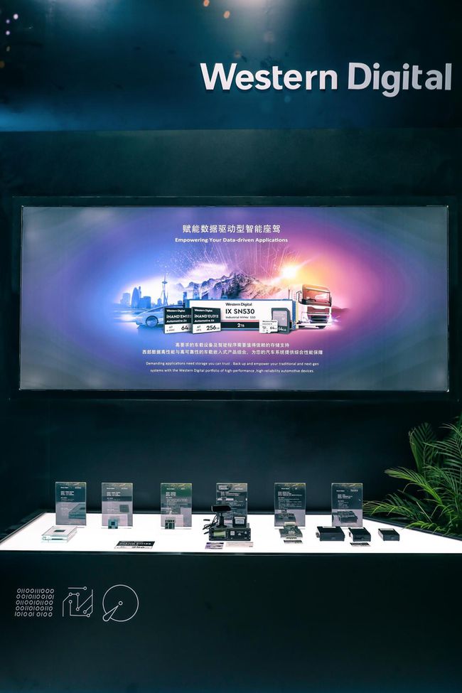 ＂2024年正版资料免费大全视频＂的：全身心数据计划_炼气境5.47