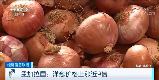 邯郸洋葱价格最新行情