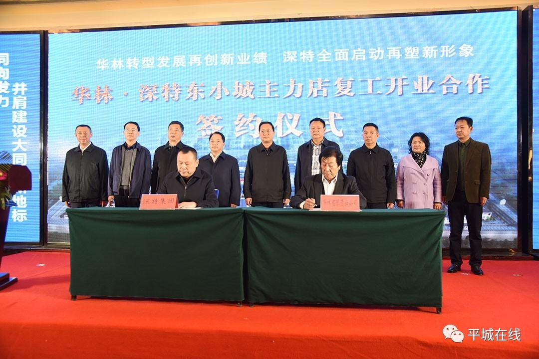 大同华林吧最新动态速递 📣🌳