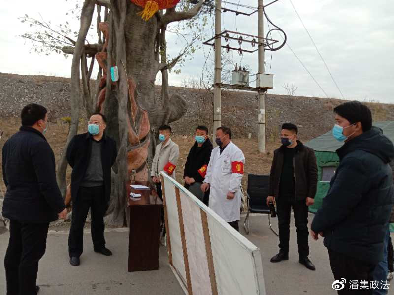 潘集疫情动态解析，最新观点与深度分析