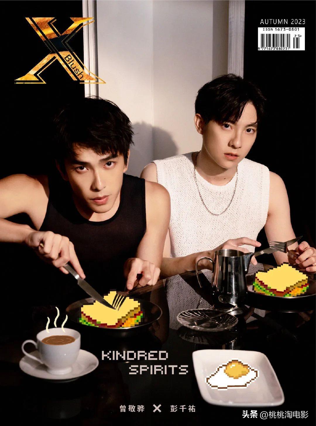 执念师演员表,执念师演员表，小巷深处的秘密故事