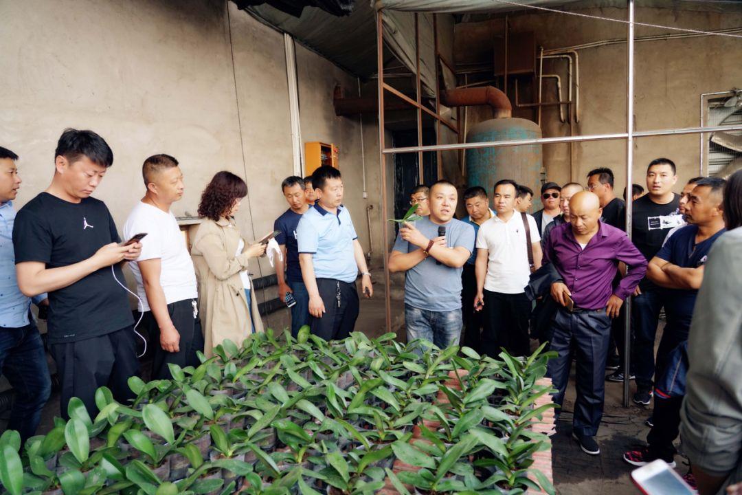 信息港资讯速递,信息港资讯速递，掌握最新信息，赢在起跑线