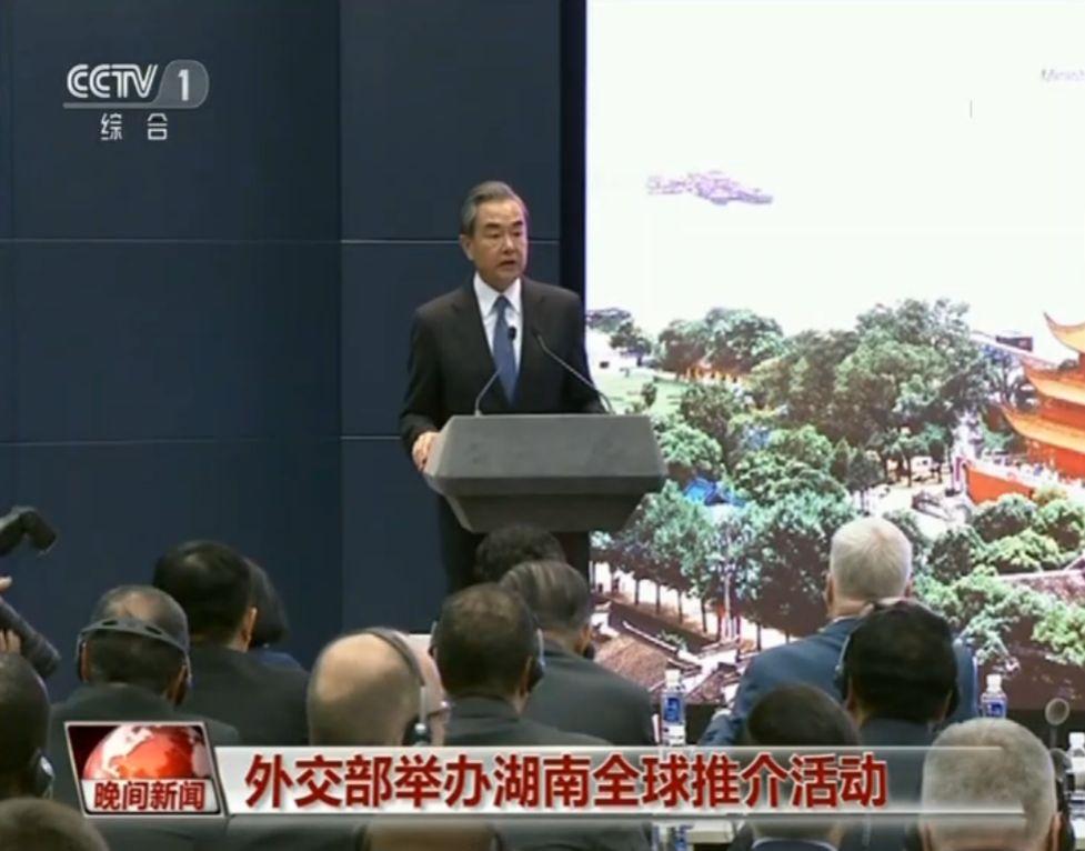 巷弄深处的隐藏瑰宝，最新名人热点揭秘