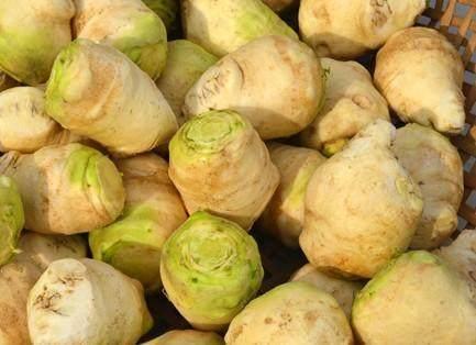 市政设施管理 第107页