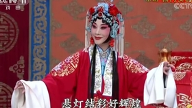 京剧演员董圆圆，舞台明珠与生活的温暖故事