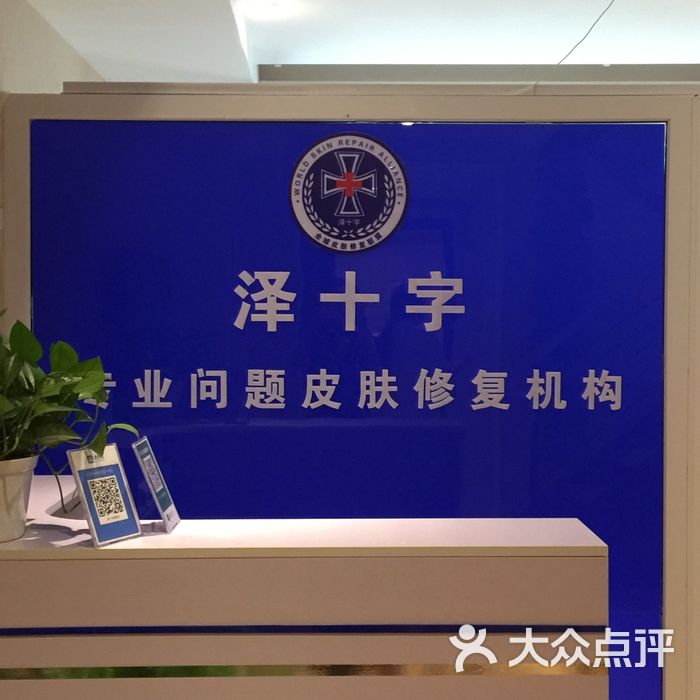 泽十字产品最新价格