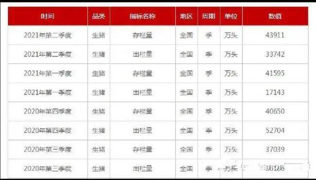 江苏今日生猪价格，科技智能重塑行业生态的未来展望