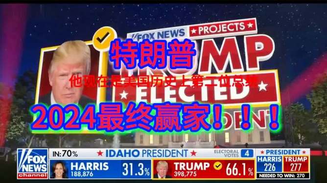 美国最新大选深度解析与揭秘，走向大揭秘🔍🎉