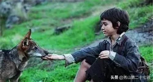 狼孩电影叫什么名字,狼孩电影，森林的秘密与家的温暖