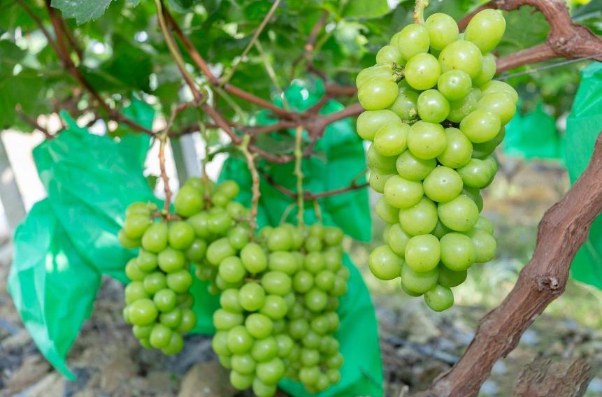 荣乌高速公路新线 第80页