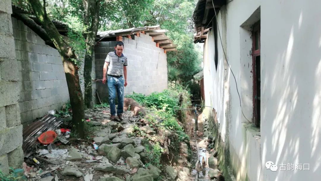 西樵征地动态，土地上的温情故事与变迁