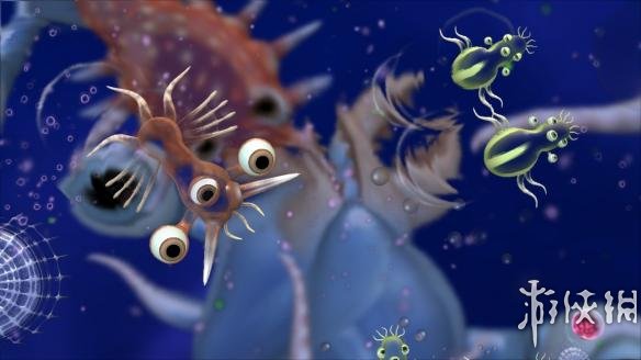 孢子资讯，揭秘微观世界的奥秘探索