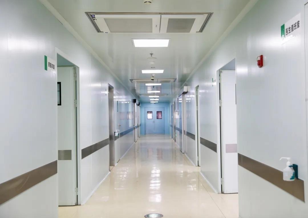 视频脑电图价格,与自然美景的心灵之旅之旅的费用解析