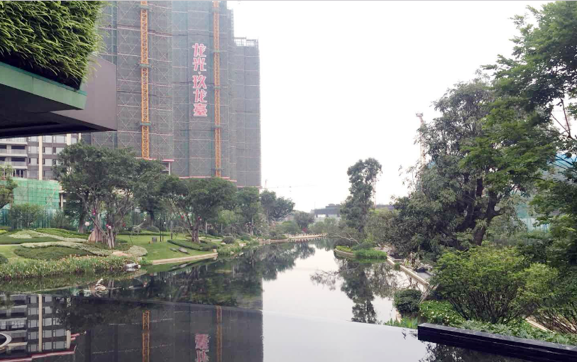 光明玖龙台项目动态,光明玖龙台项目动态,从入门到精通的步骤指南(适合初学者与进阶用户)