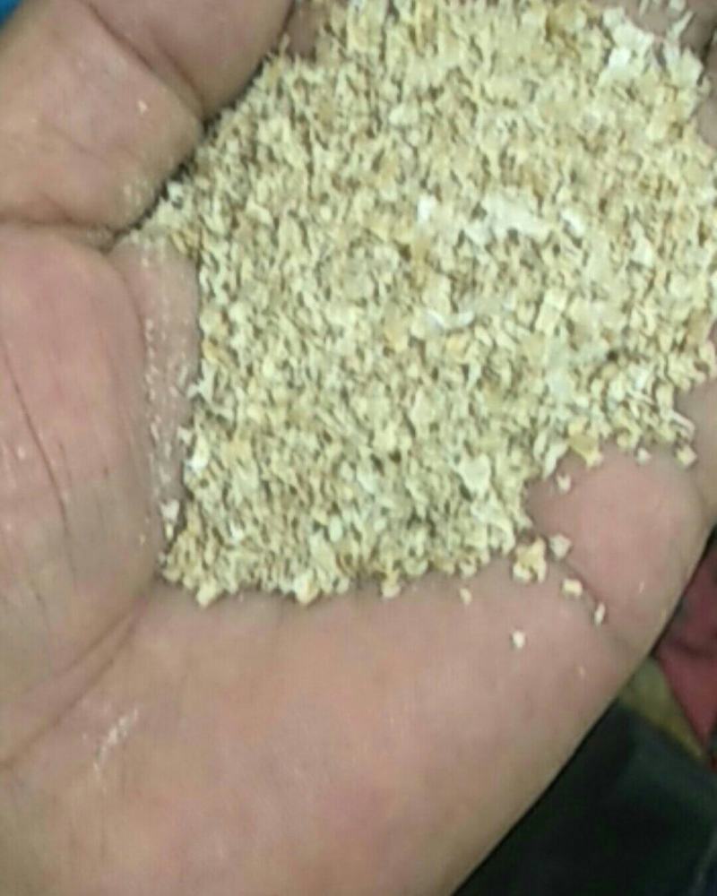 今日麸皮价格行情及在饲料领域的地位与影响回顾