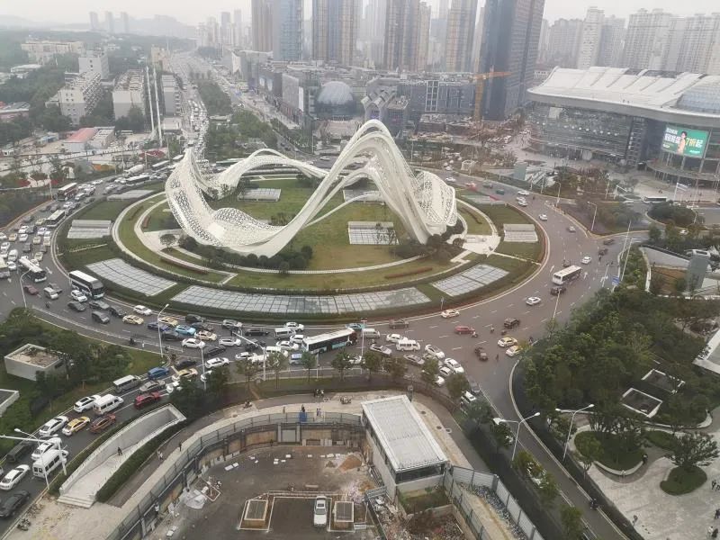 四虎最新入口,深度观点阐述与探讨