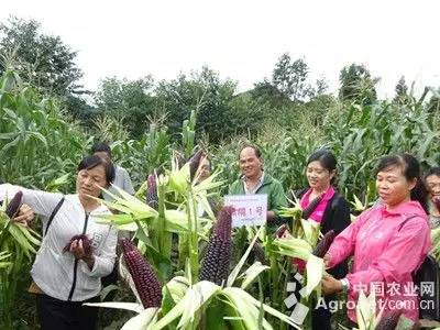 蕉岭新鲜事,与自然美景的邂逅,探寻内心的平和宁静之旅