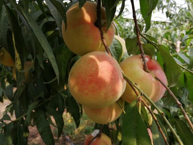 北仑上市公司一览,详细步骤指南及企业名单解析