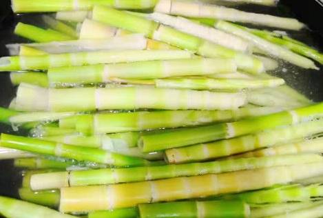 小竹笋上市,尝鲜竹笋美食,开启健康绿色生活之旅!