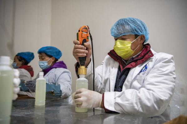 拉萨最新肺炎情况概述，背景、事件及其影响