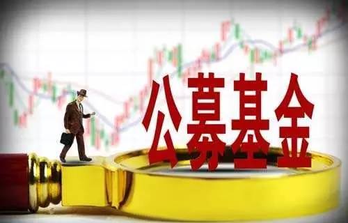 基金850013最新动态更新
